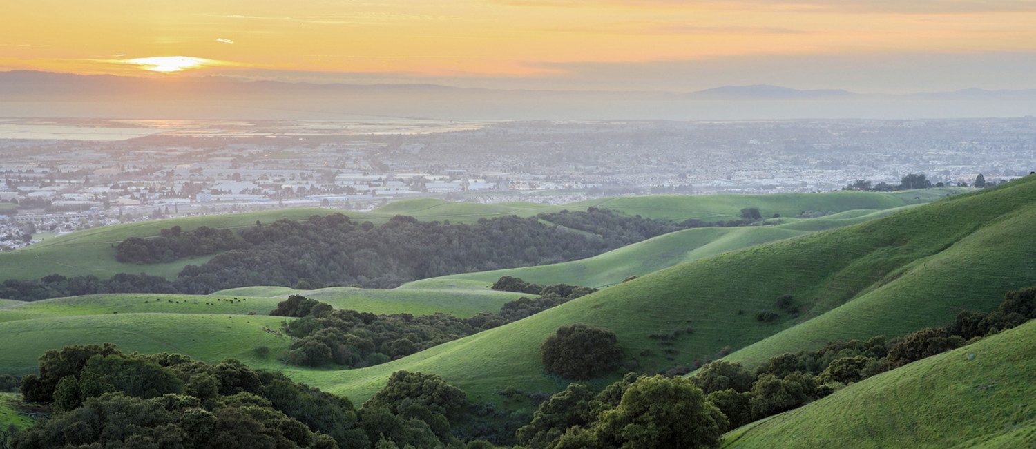 KEEP UP WITH THE LATEST WEATHER INFORMATION FOR SOUTH SAN FRANCISCO